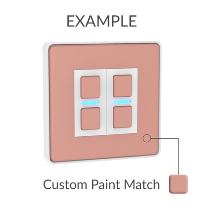 Smart Dimmer - Custom Paint Finish